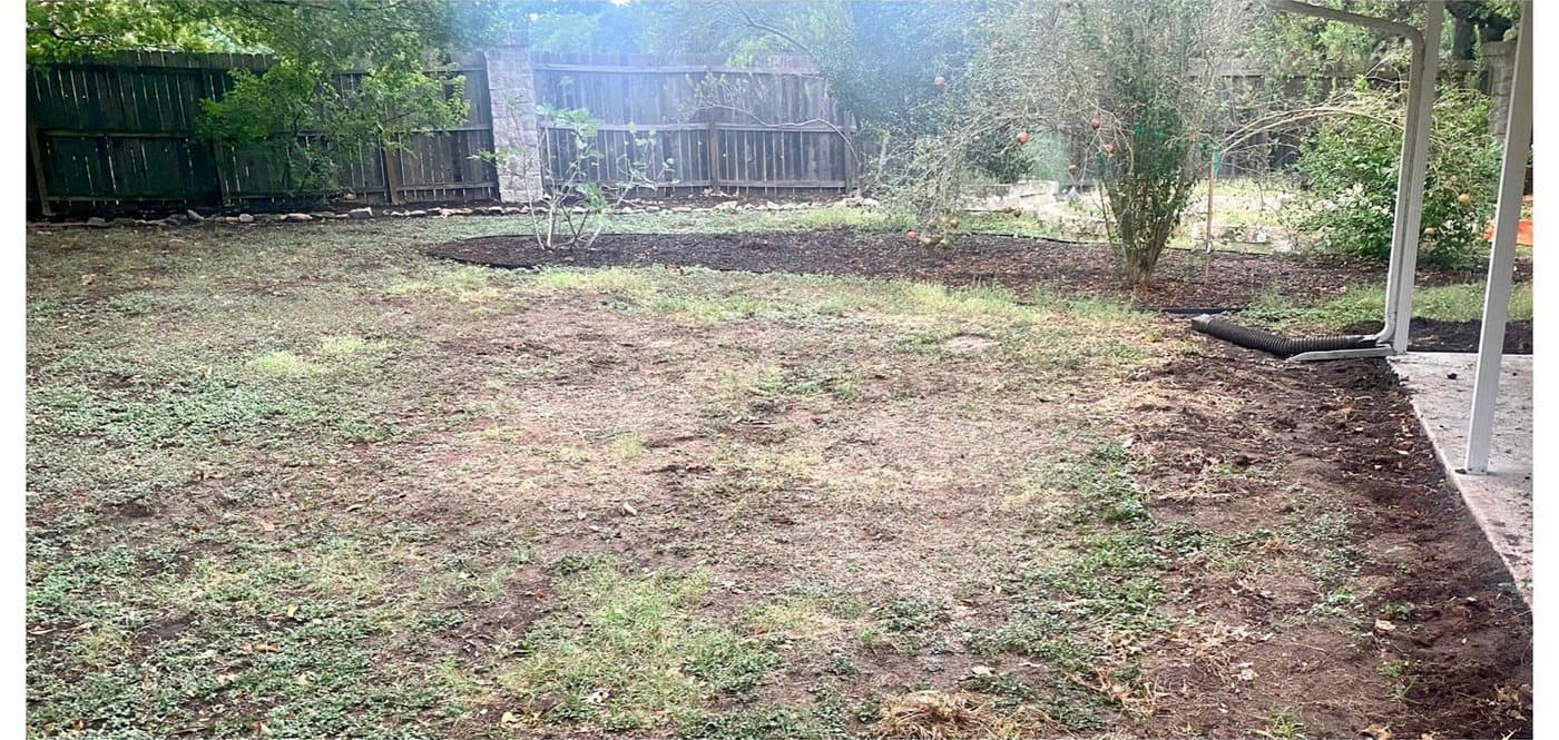 After: the same backyard cleared to open lawn and a fresh mulch bed along the back fence.