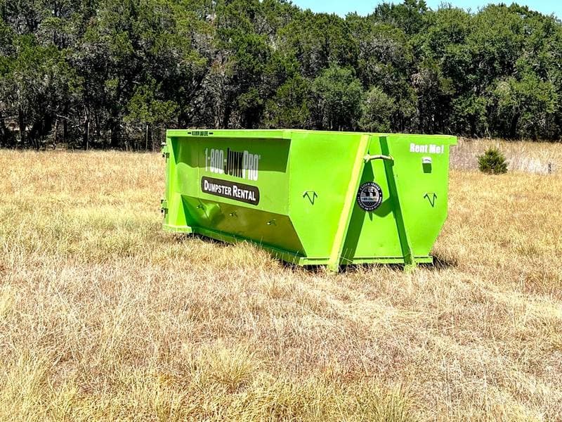 A green roll-off container standing alone on dry summer grass on an open lot, backed by a dense cedar and oak treeline under a clear sky.